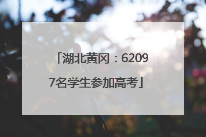 湖北黄冈：62097名学生参加高考