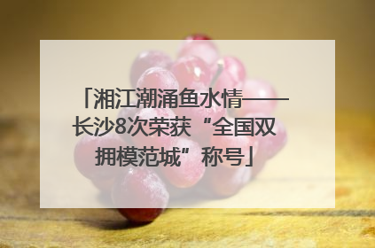 湘江潮涌鱼水情——长沙8次荣获“全国双拥模范城”称号
