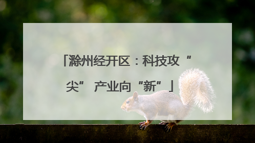 滁州经开区：科技攻“尖” 产业向“新”