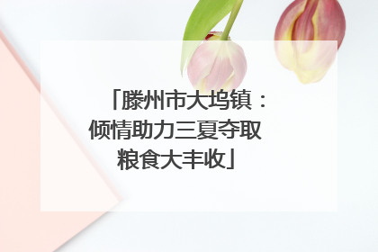 滕州市大坞镇：倾情助力三夏夺取粮食大丰收