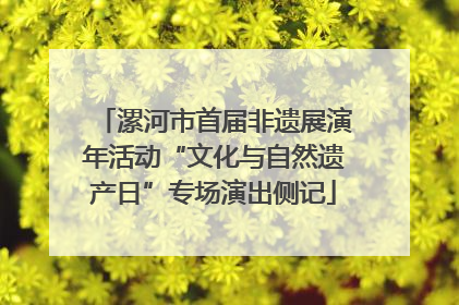 漯河市首届非遗展演年活动“文化与自然遗产日”专场演出侧记