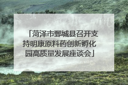 菏泽市鄄城县召开支持明康原料药创新孵化园高质量发展座谈会
