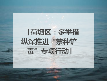 荷塘区：多举措纵深推进“禁种铲毒”专项行动