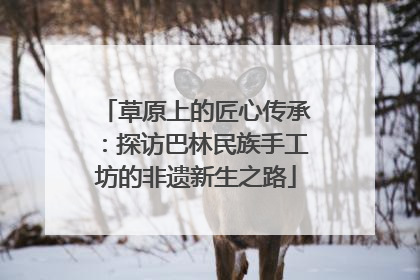 草原上的匠心传承：探访巴林民族手工坊的非遗新生之路
