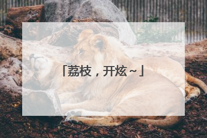 荔枝，开炫～