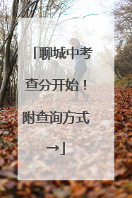 聊城中考查分开始！附查询方式→