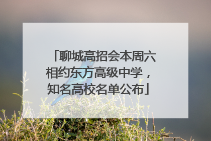 聊城高招会本周六相约东方高级中学，知名高校名单公布