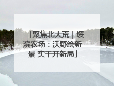 聚焦北大荒｜绥滨农场：沃野绘新景 实干开新局