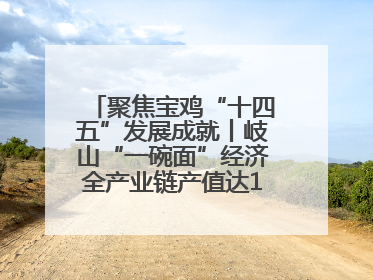 聚焦宝鸡“十四五”发展成就丨岐山“一碗面”经济全产业链产值达162亿元 入选全国典型县