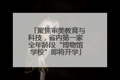 聚焦审美教育与科技，省内第一家全年龄段“博物馆学校”即将开学