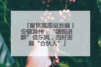 聚焦高质量发展丨安徽滁州：“融圈进群”借东风，当好发展“合伙人”