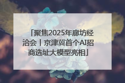 聚焦2025年廊坊经洽会丨京津冀首个AI招商选址大模型亮相