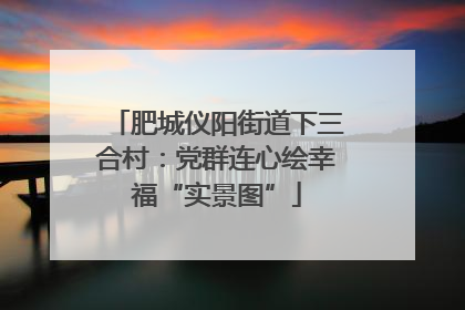 肥城仪阳街道下三合村：党群连心绘幸福“实景图”