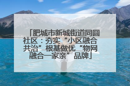 肥城市新城街道同圆社区：夯实“小区融合共治”根基做优“物网融合一家亲”品牌