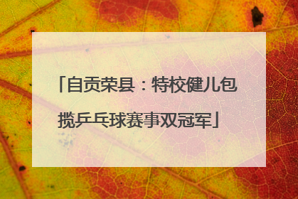 自贡荣县：特校健儿包揽乒乓球赛事双冠军