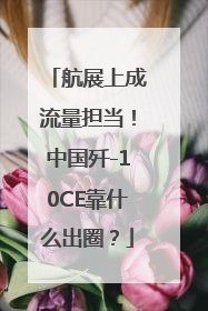 航展上成流量担当！中国歼-10CE靠什么出圈？