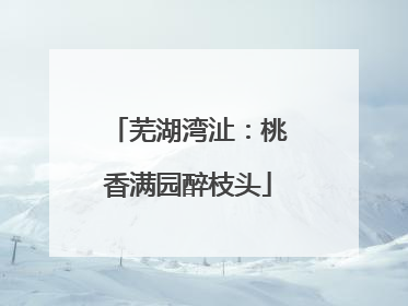 芜湖湾沚：桃香满园醉枝头