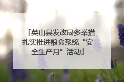 英山县发改局多举措扎实推进粮食系统“安全生产月”活动