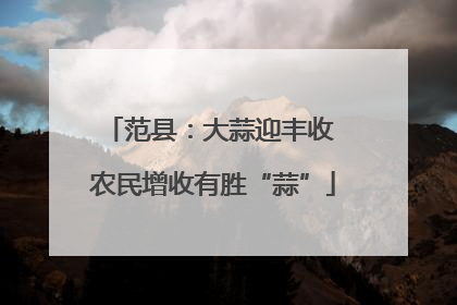 范县：大蒜迎丰收 农民增收有胜“蒜”