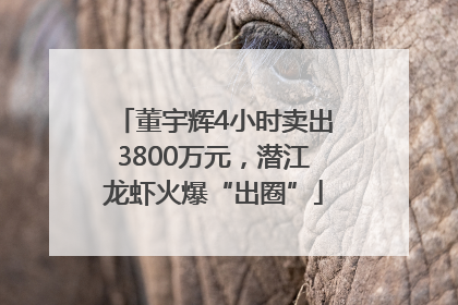 董宇辉4小时卖出3800万元，潜江龙虾火爆“出圈”