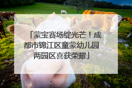 蒙宝赛场绽光芒！成都市锦江区童蒙幼儿园两园区喜获荣耀