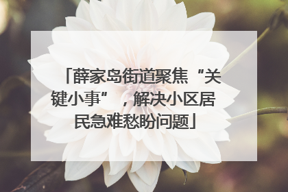 薛家岛街道聚焦“关键小事”，解决小区居民急难愁盼问题