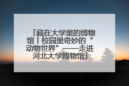 藏在大学里的博物馆丨校园里奇妙的“动物世界”——走进河北大学博物馆