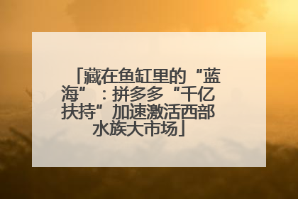 藏在鱼缸里的“蓝海”：拼多多“千亿扶持”加速激活西部水族大市场