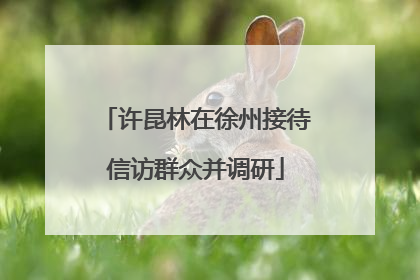 许昆林在徐州接待信访群众并调研