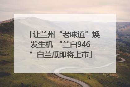 让兰州“老味道”焕发生机 “兰白946”白兰瓜即将上市