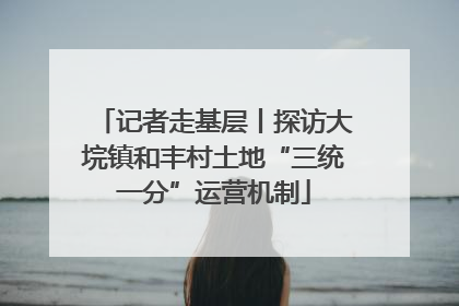 记者走基层丨探访大垸镇和丰村土地“三统一分”运营机制