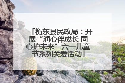 衡东县民政局：开展“润心伴成长 同心护未来”六一儿童节系列关爱活动