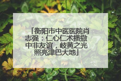 衡阳市中医医院肖志强：仁心仁术播撒中非友谊，岐黄之光照亮津巴大地