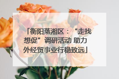 衡阳蒸湘区：“走找想促”调研活动 助力外经贸事业行稳致远