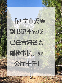 西宁市委原副书记李家成已任青海省委副秘书长、办公厅主任