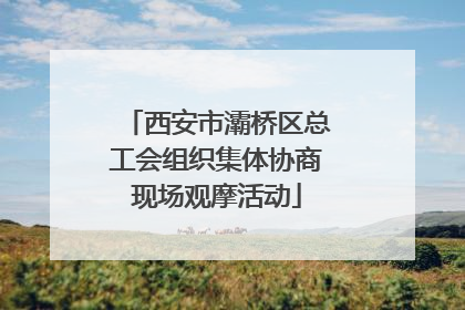 西安市灞桥区总工会组织集体协商现场观摩活动