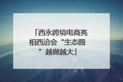 西永跨境电商亮相西洽会“生态圈”越做越大