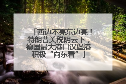 西边不亮东边亮！特朗普关税阴云下，德国最大港口汉堡港积极“向东看”