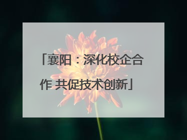 襄阳：深化校企合作 共促技术创新
