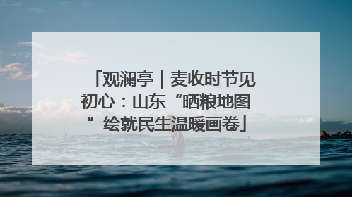 观澜亭｜麦收时节见初心：山东“晒粮地图”绘就民生温暖画卷