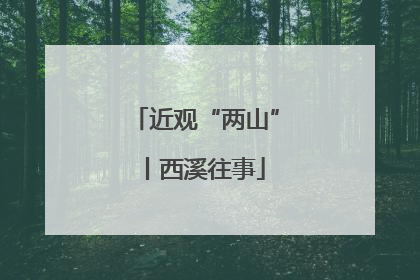 近观“两山”丨西溪往事