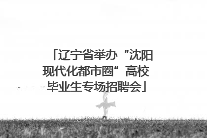 辽宁省举办“沈阳现代化都市圈”高校毕业生专场招聘会