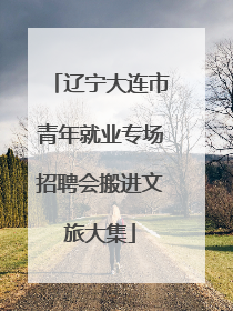 辽宁大连市青年就业专场招聘会搬进文旅大集