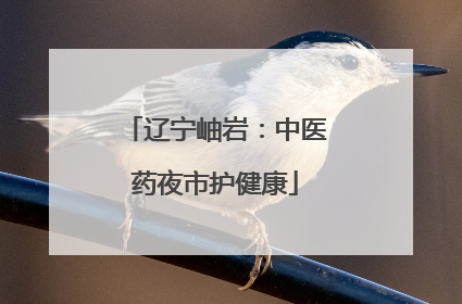 辽宁岫岩：中医药夜市护健康