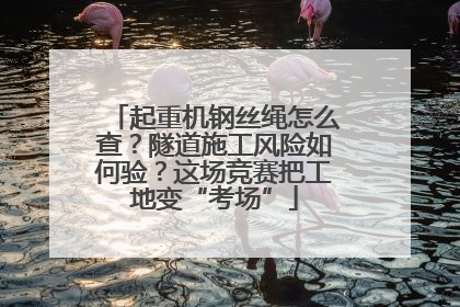 起重机钢丝绳怎么查？隧道施工风险如何验？这场竞赛把工地变“考场”