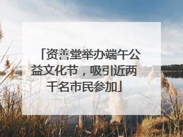 资善堂举办端午公益文化节，吸引近两千名市民参加