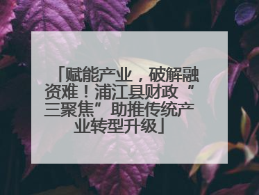 赋能产业，破解融资难！浦江县财政“三聚焦”助推传统产业转型升级