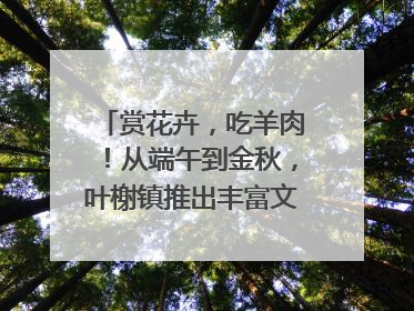 赏花卉，吃羊肉！从端午到金秋，叶榭镇推出丰富文旅活动邀您爽玩