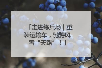 走进练兵场｜重装运输车，驰骋风雪“天路”！