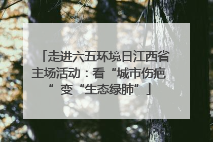走进六五环境日江西省主场活动：看“城市伤疤”变“生态绿肺”